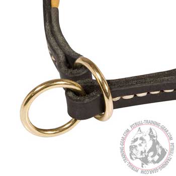 Brass Fittings on Leather Pitbull Choke Collar 