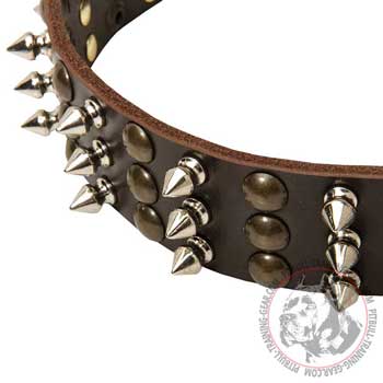 Half-Ball Studs and Nickel Spikes on Leather Pitbull Collar