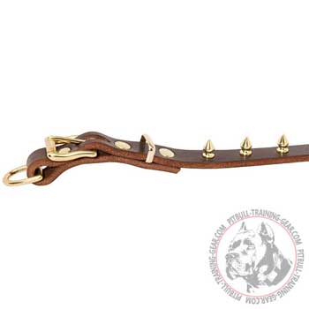 Brass fittings of sturdy leather dog collar for Pitbull