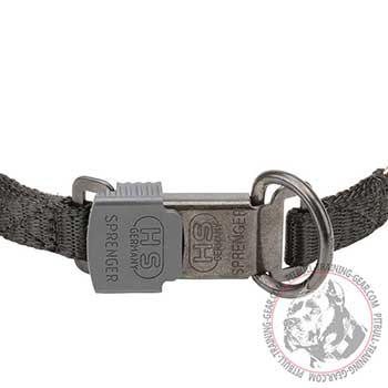 Quality Click Lock Buckle of Herm Sprenger Dog Collar