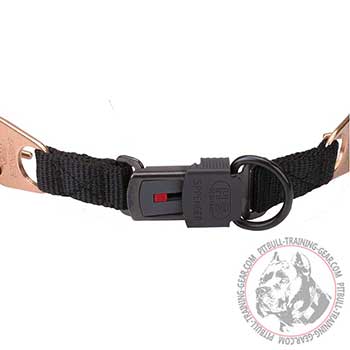 Plastic Click Lock Buckle of Prong Dog Collar