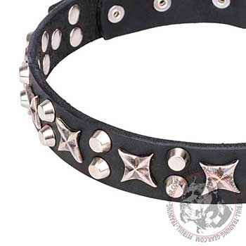 Stars and cones on Pit Bull Collar