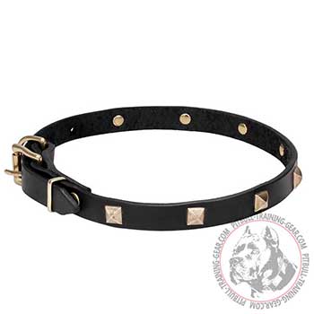 Dog Collar for Pit Bull breed, smooth genuine leather