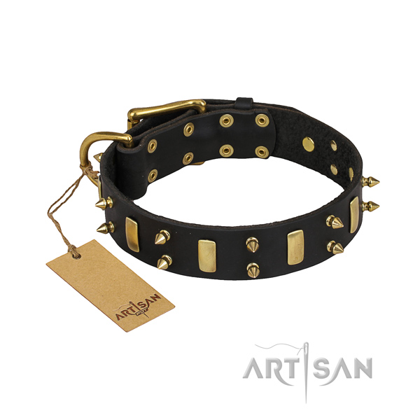Sturdy leather dog collar with sturdy details