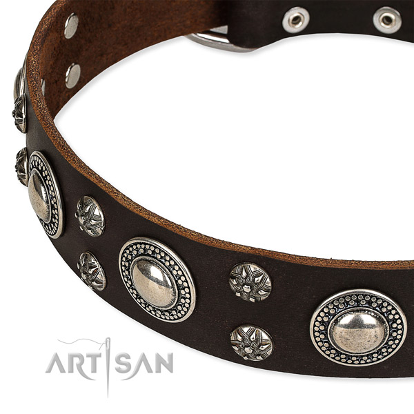 Snugly fitted leather dog collar with almost unbreakable chrome plated hardware