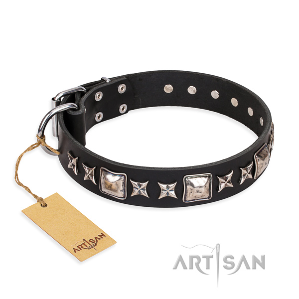Exceptional genuine leather dog collar for daily walking