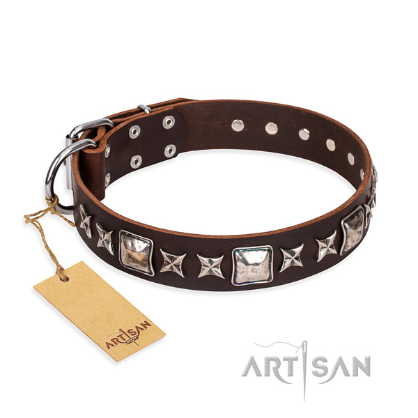Trendy genuine leather dog collar for stylish walking
