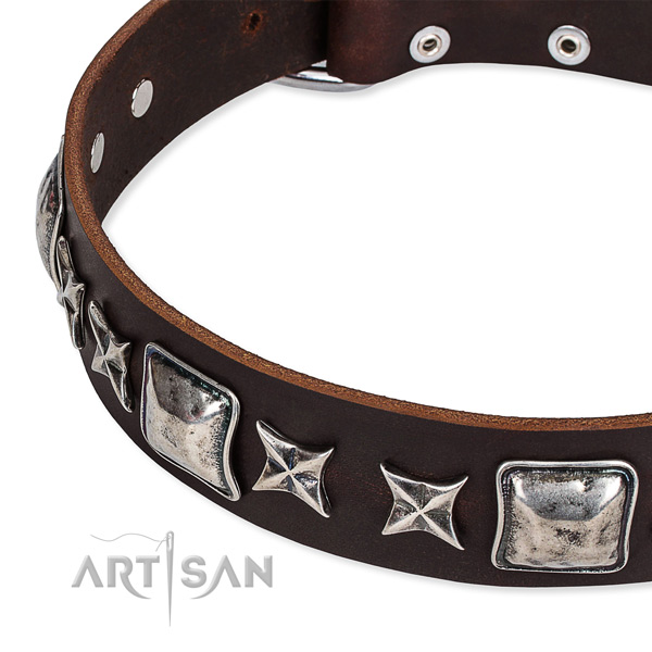 Full grain leather dog collar with studs for handy use