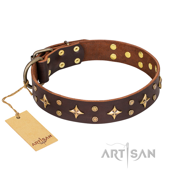 Extraordinary full grain natural leather dog collar for everyday walking