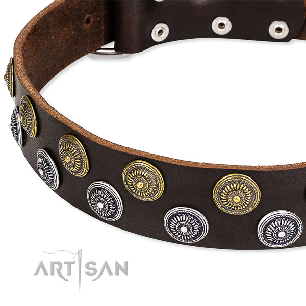 Genuine leather dog collar with unique embellishments