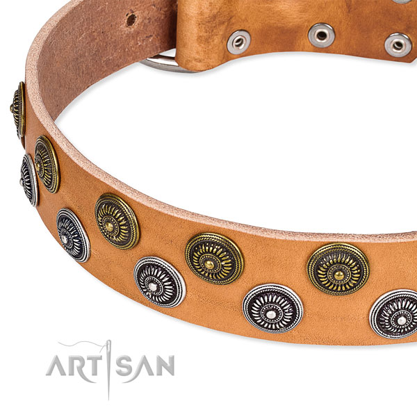 Genuine leather dog collar with unique embellishments