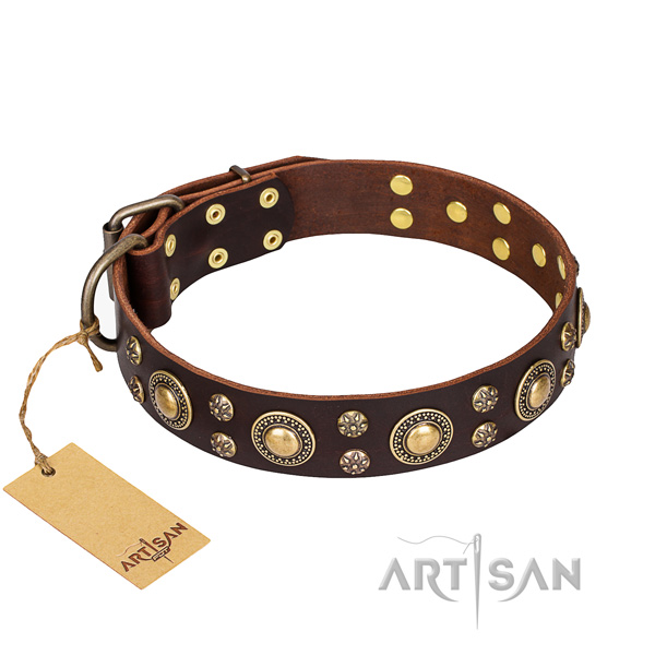 Exceptional leather dog collar for everyday use