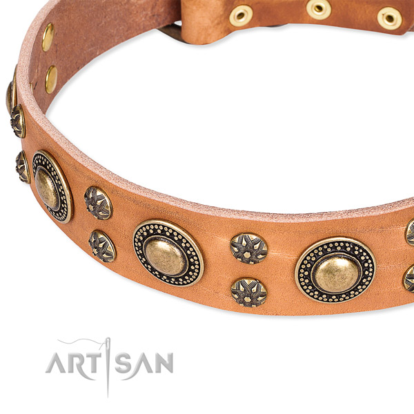 Leather dog collar with significant embellishments
