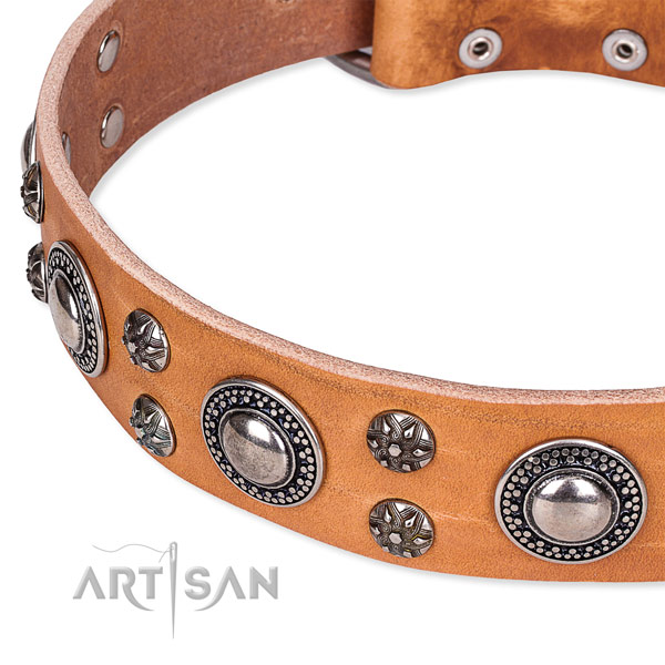 Stylish walking full grain leather collar with corrosion resistant buckle and D-ring