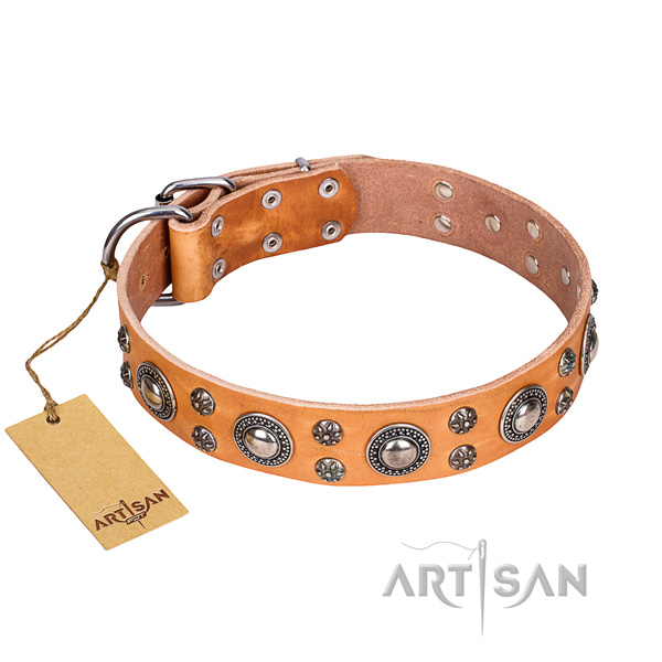 Impressive full grain natural leather dog collar for everyday use