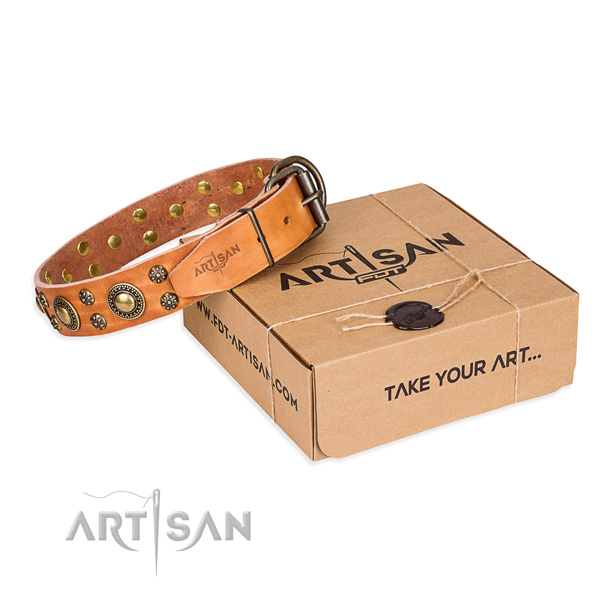 Full grain natural leather dog collar with adornments for everyday walking