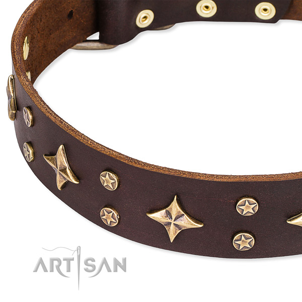 Full grain genuine leather dog collar with trendy embellishments