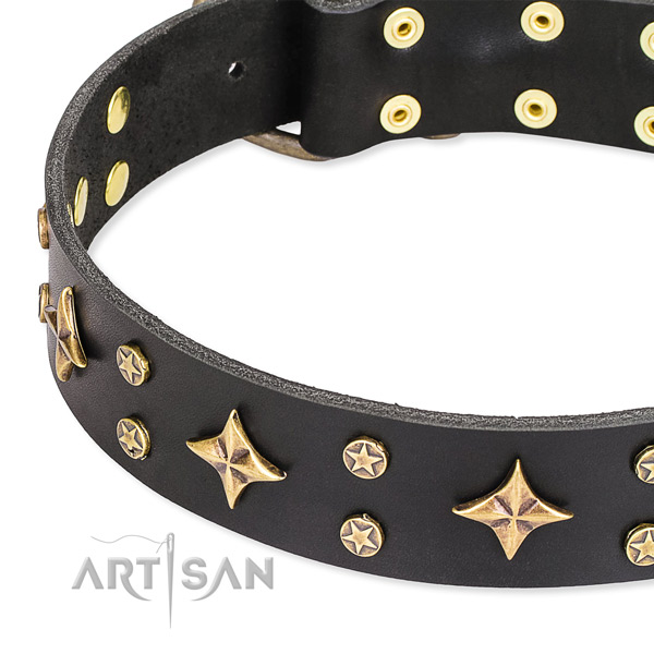 Full grain leather dog collar with exquisite decorations