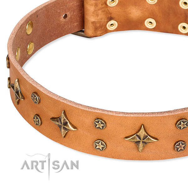 Full grain genuine leather dog collar with exceptional adornments