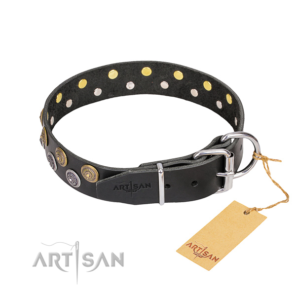Daily walking full grain natural leather collar with studs for your doggie