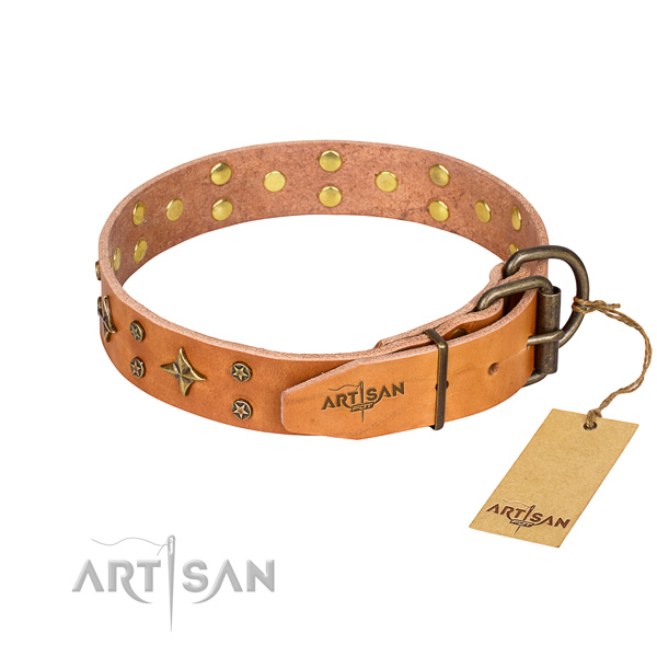 Walking full grain leather collar with embellishments for your pet