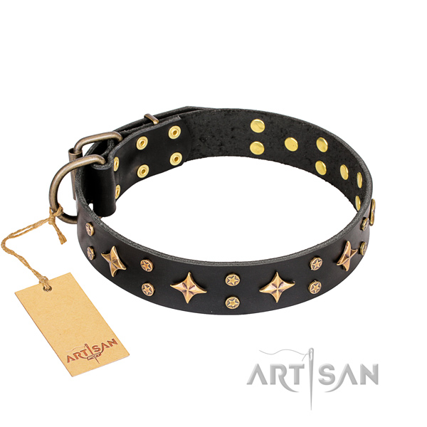 Everyday walking genuine leather collar with studs for your dog