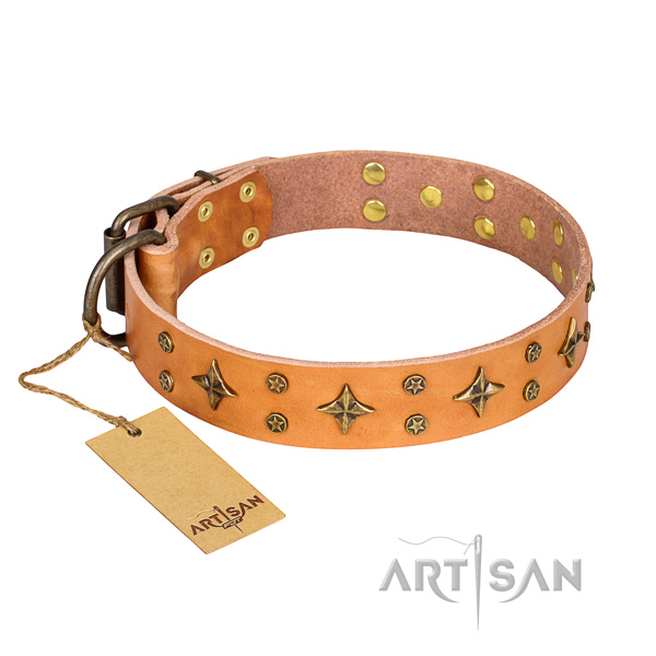 Unique genuine leather dog collar for everyday walking