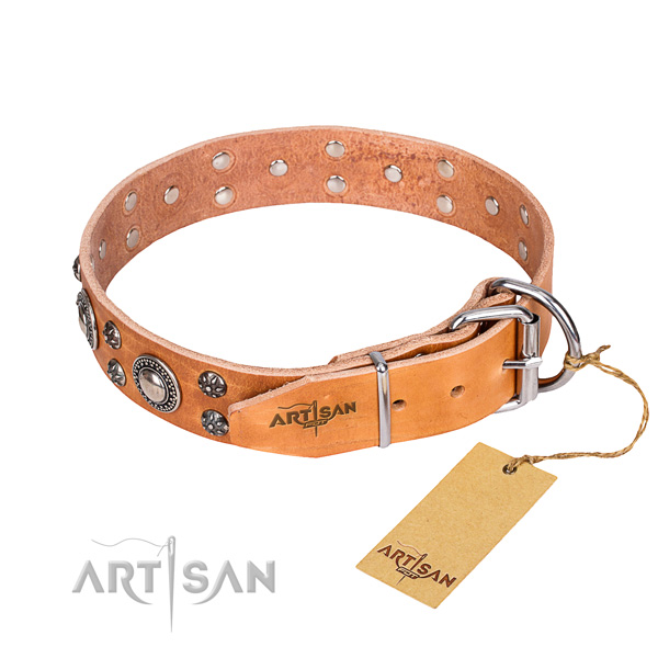Everyday use natural genuine leather collar with adornments for your canine