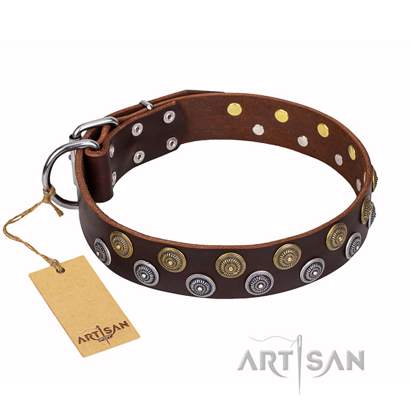 Daily walking full grain natural leather collar with adornments for your pet