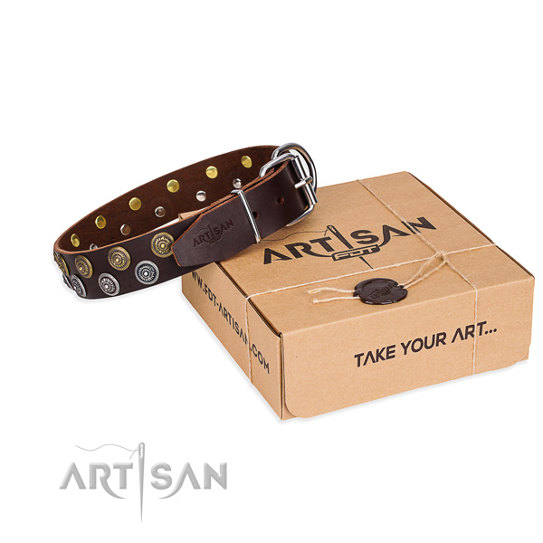 Full grain natural leather dog collar with adornments for daily use