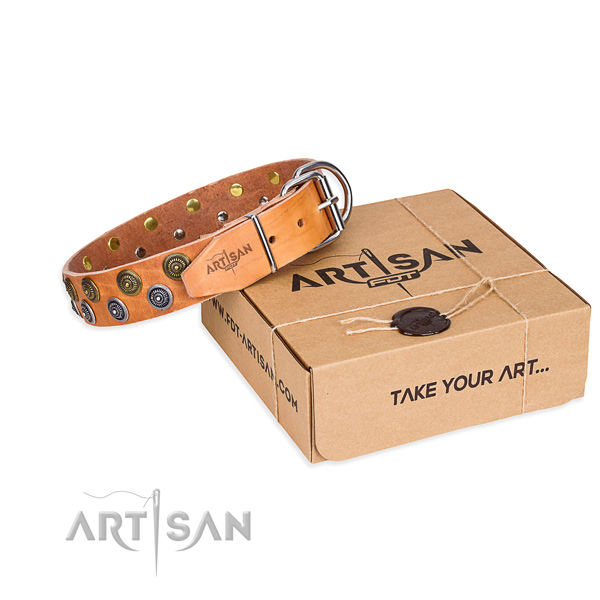 Full grain natural leather dog collar with adornments for daily use