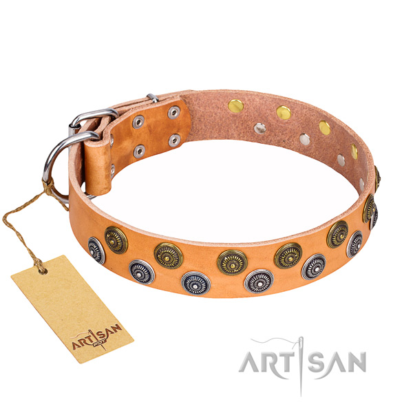 Remarkable full grain natural leather dog collar for daily use
