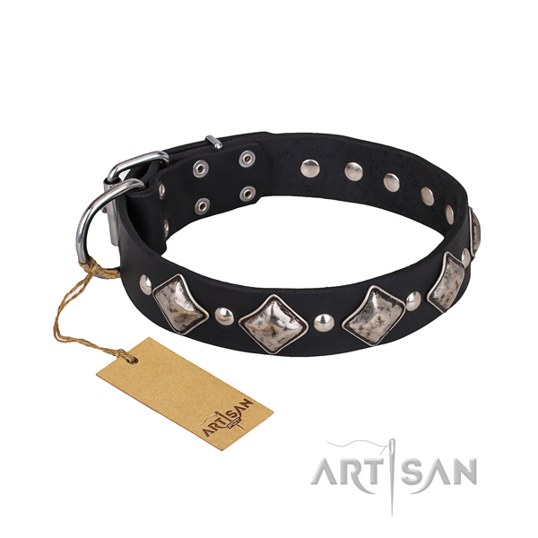 Resistant leather dog collar with chrome plated fittings