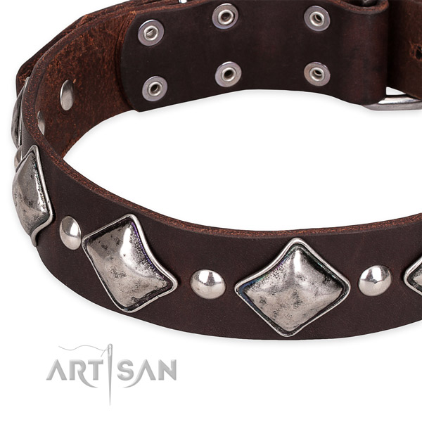 Easy to use leather dog collar with resistant chrome plated fittings