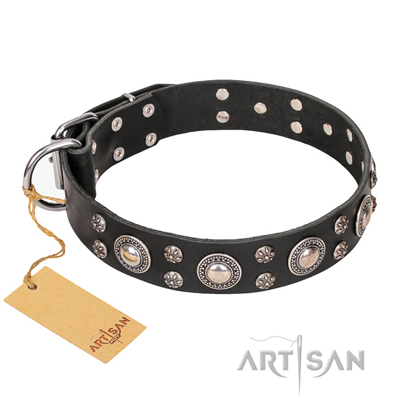 Sturdy leather dog collar with non-rusting hardware