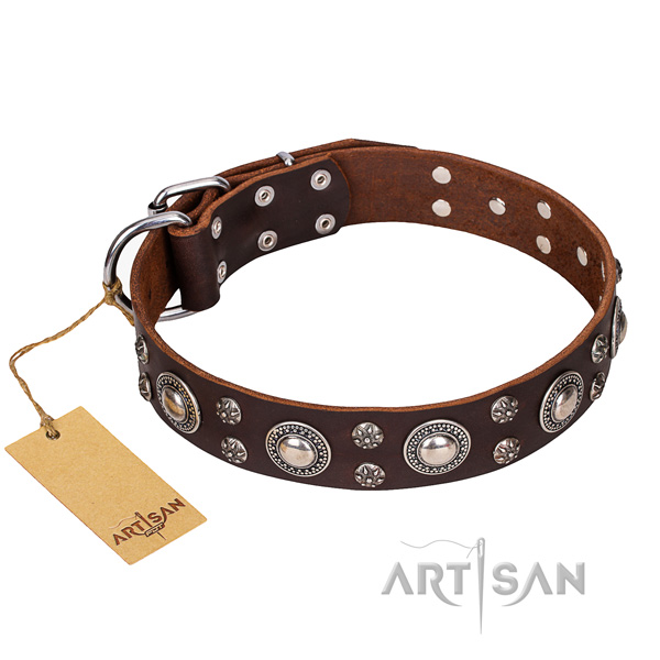 Resistant leather dog collar with riveted elements