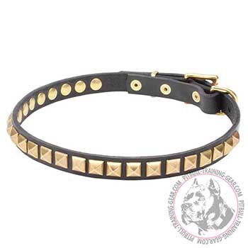 Walking Leather Collar for Pit Bulls; narrow strap