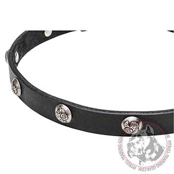Studs with Engraved Leaves on Walking Leather Pitbull Collar