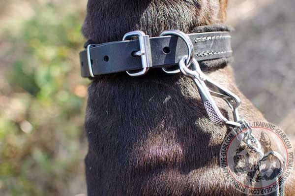 Fittings of leather dog collar for leash attachment