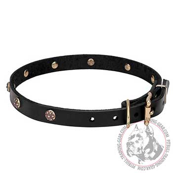 Leather Collar for Walking, rustproof fittings