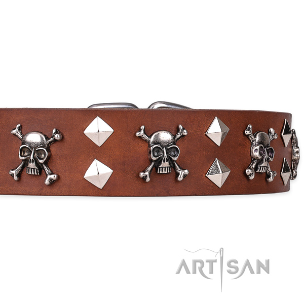 Casual style leather dog collar with remarkable studs