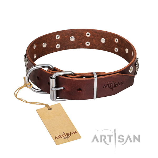 Reliable leather dog collar with non-rusting hardware