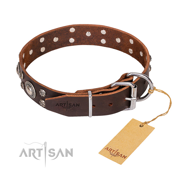 Fashionable leather collar for your favourite four-legged friend