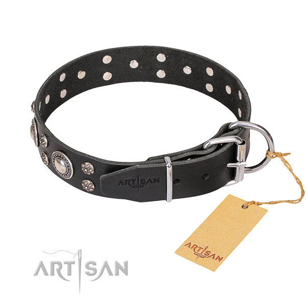 Natural leather dog collar with polished leather strap