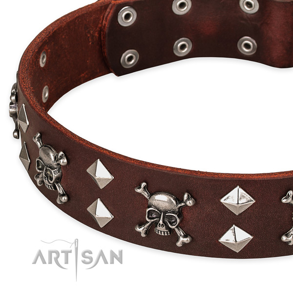 Genuine leather dog collar for reliable usage