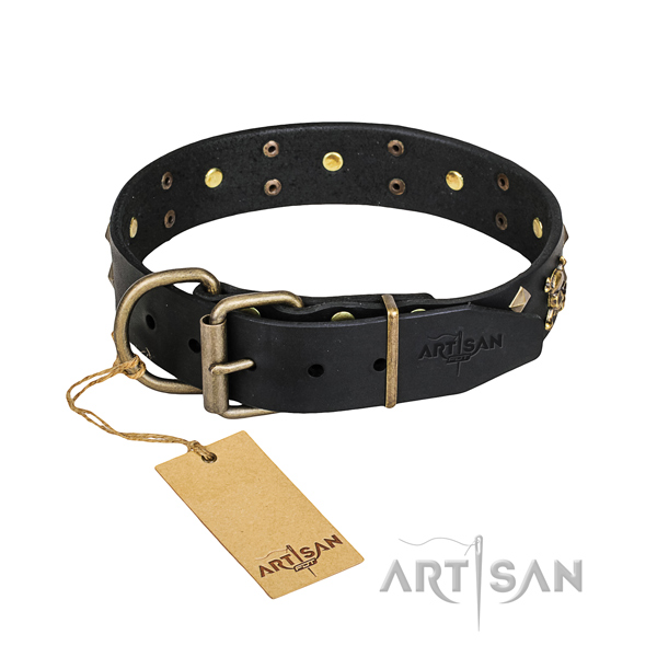 Long-lasting leather dog collar with rust-proof elements