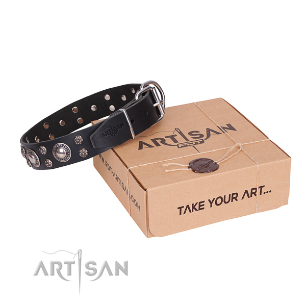 Daily leather dog collar with exciting embellishments