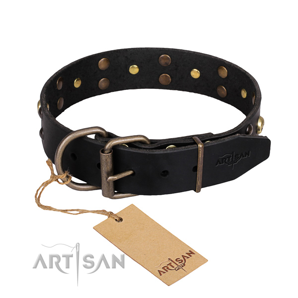Everyday leather dog collar with extraordinary adornments