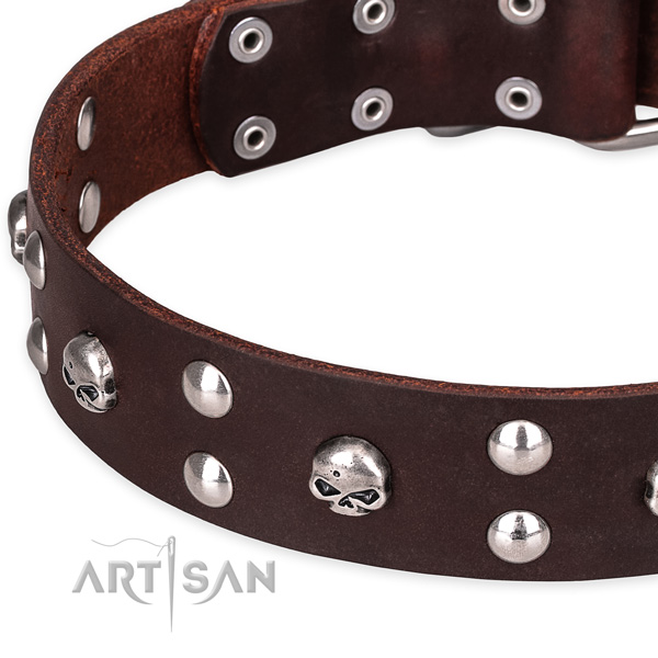 Casual style leather dog collar with luxurious studs