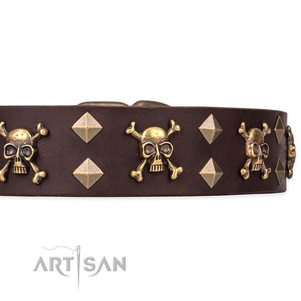 Top notch leather dog collar for reliable use